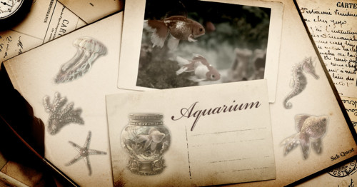 HiddenCity substory　サブストーリー eyecatch アイキャッチ　aquarium アクアリウム